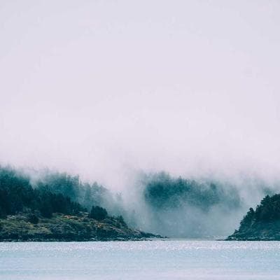 COSORI Air Fryer 5.8 Qt (130 Recipes)