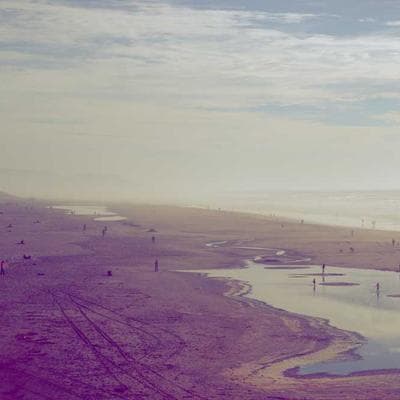 Lindt Lindor Assorted Chocolate Truffles (60-Count)