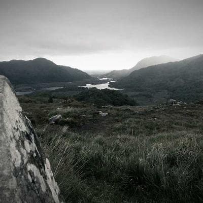 Daily Harvest Smoothies (9-Cup Starter Box)
