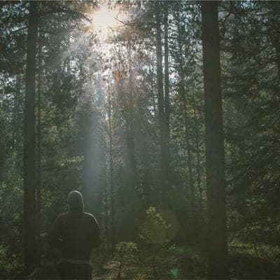 دفتر يوميات من الجلد الفاخر