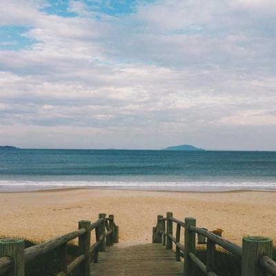 LEGO Icons Flower Bouquet Building Set