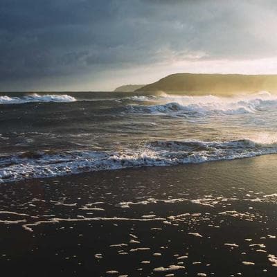 Theragun Prime Percussive Massage Gun