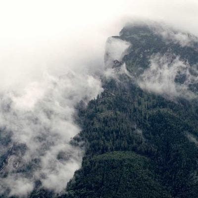 Passion Planner Daily Life Planner (Undated)