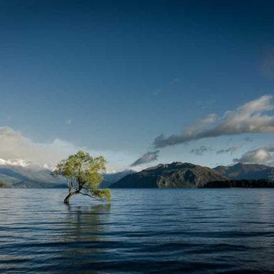 TRX PRO4 Suspension Training System